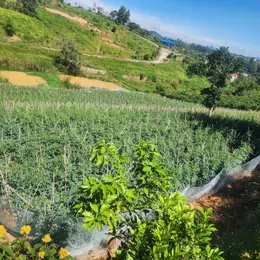 Cần Bán đất xã Ninh Gia, huyện Đức Trọng, tỉnh Lâm Đồng