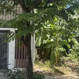 cần bán lô đất mặt tiền bàu mạc 20 đường 5.5m gần biển