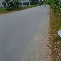 Bán đất mặt tiền đường Tân Hội , Đức Lập Thượng dt 1000m2 ( 300m2 thổ) giá 8,5 tỷ