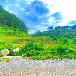 4.800m2 mặt tiền cao tốc - hiệp an cũ, hiệp thạnh đức trọng, lâm đồng