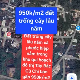 BÁN GẤP 14.250M² ĐẤT TRỒNG CÂY LÂU NĂM TẠI XÃ PHƯỚC HIỆP, HUYỆN CỦ CHI, TP HỒ CHÍ MINH - CHỈ