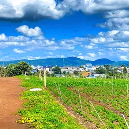 Đất hẻm pê tông 5m cos pha, liên hiệp, đức trọng cũ, lâm đồng