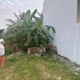 Bán đất tại Vườn Lài, 7,3 tỷ, 78,8m2, mặt tiền đẹp, pháp lý đầy đủ