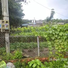 Bán Đất Chính Chủ Phường Bến Cát, TP. Hồ Chí Minh – Sổ Hồng Riêng, Giá Tốt, Mua Bán Nhanh.