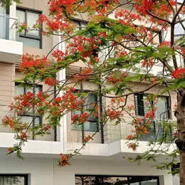 CHỈ HƠN 30TR/THÁNG SỞ HỮU NGAY CĂN BIỆT THỰ AN VƯỢNG DƯƠNG NỘI