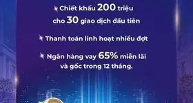 𝐒𝐓𝐀𝐑𝐋𝐈𝐆𝐇𝐓 𝐐𝐔𝐀̉𝐍𝐆 𝐍𝐆𝐀̃𝐈 – TÂM ĐIỂM PHỒN VINH, KHƠI NGUỒN ĐẲNG CẤP