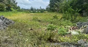 Cần bán đất nền tại ấp 7, xã Vị Thuỷ, huyện Vị Thuỷ, tỉnh Hậu Giang. Giá: 50 triệu/m ngang.