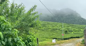 Đất nền Chờ Lồng Mộc Châu giá rẻ, View đẹp