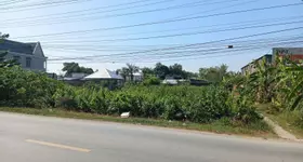 Bán Đất tại Quốc lộ 54, xã Lai Vung (xãTân Thành, Huyện Lai Vung) giá tốt chỉ với 4,1 tỷ