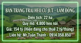 Siêu Trang Trại Heo 22ha - Thu Nhập cho thuê 24 Tỷ/Năm