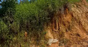 SỞ HỮU NGAY LÔ ĐẤT ĐẸP - GIÁ TỐT - Vị Trí Đắc Địa Tại Xóm Bún, Phường Tân Hoà, Phú Thọ