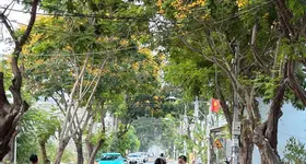 BÁN NHÀ ĐẸP KHU TÁI ĐỊNH CƯ ĐẤT LÀNH – NAM NHA TRANG