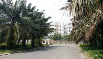 KDC Làng Việt Kiều Phong Phú 13E