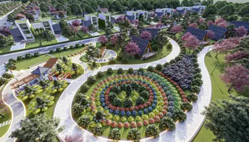 Sunflower Hill
