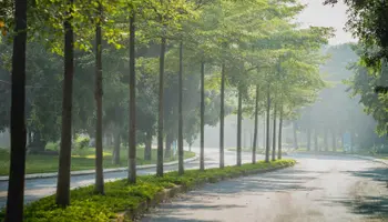 Khu đô thị Ecopark