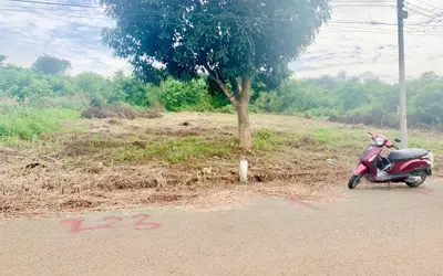 Bán đất thổ cư 200m² ĐT756, Tiến Hưng, Đồng Xoài, Bình Phước - 295 triệu