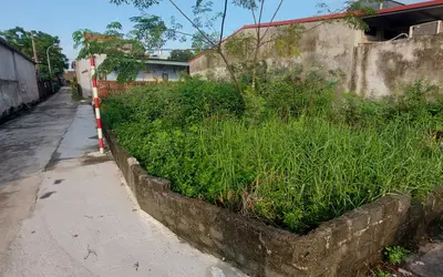 CẦN BÁN LÔ ĐẤT ĐẸP TẠI KHU 1 RỪNG SẰM, XÃ THIỆN KẾ, HUYỆN BÌNH XUYÊN, VĨNH PHÚC