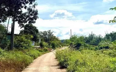 CHÍNH CHỦ CẦN BÁN ĐẤT CAO SU – TÂN THÀNH,THỊ XÃ ĐỒNG XOÀI- BÌNH PHƯỚC