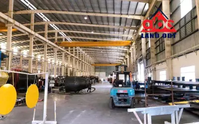 XT055 CHO THUÊ NHÀ XƯỞNG, khung thép kiên cố thu hút nhiều ngành nghề, sẵn xưởng