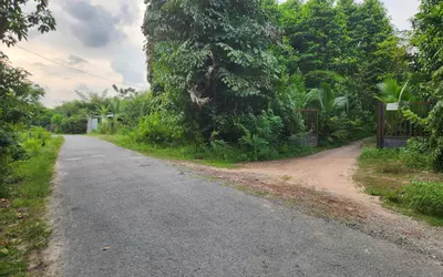 Cho thuê đất rộng 26.000m² tại xã Trung Lập Thượng, huyện Củ Chi