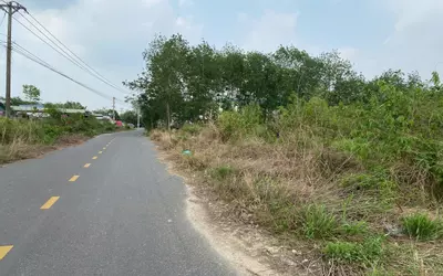 BÁN GẤP 5.000m² ĐẤT XÃ VĨNH TÂN – TÂN UYÊN, BÌNH DƯƠNG