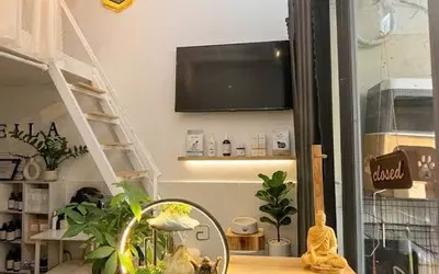 Bán nhà hẻm Ô tô Lạc Long Quân, QUẬN TÂN BÌNH, 4 x 16m (61 m2), giá 10.5 tỷ