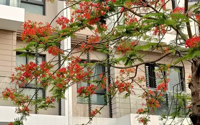 CHỈ HƠN 30TR/THÁNG SỞ HỮU NGAY CĂN BIỆT THỰ AN VƯỢNG DƯƠNG NỘI