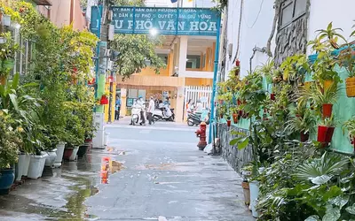 Nhà Cho Thuê Nguyên Căn - Quận 3 - 3PN - Hẻm Xe Hơi - 20 Triệu