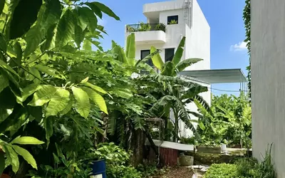 🏡 SIÊU PHẨM ĐẤT HƯỚNG NAM – NGỌC ĐỘNG, BÁT TRÀNG (GIA LÂM CŨ)