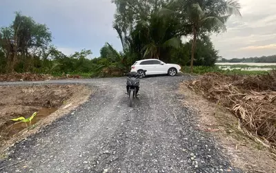 Bán đất mt sông Vàm Cỏ Đông, xã Lương Hòa dt 1000m2 ( 300m2 thổ ) đường oto đá xanh giá 3 tỷ