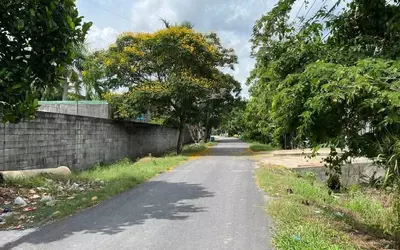 Đất thổ cư Tân Thạnh Đông,Củ Chi.Dt 12m x 30m = 345.6m², thổ cư 329m²