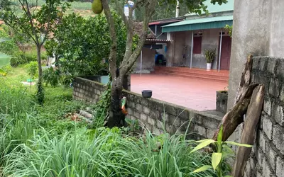 Chính Chủ Bán 1 Lô Đất SĐCC 250m². 2 mặt tiền 10m. Oto Đỗ Cửa. Giá thanh lý.