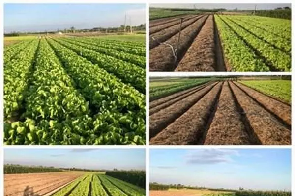Các trường hợp chuyển mục đích sử dụng đất không phải xin phép