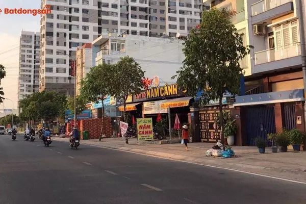 Đường Đào Trinh Nhất: Vị Trí, Giao Thông Và Bất Động Sản Xung Quanh