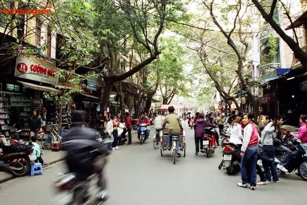 Phố Hàng Dầu: Vị Trí, Giao Thông Và Bất Động Sản Xung Quanh