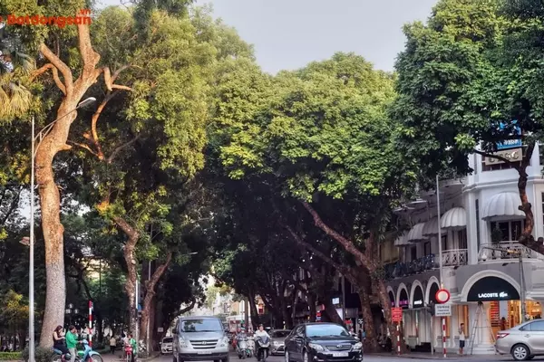 Phố Hàng Khay: Vị Trí, Giao Thông Và Bất Động Sản Xung Quanh