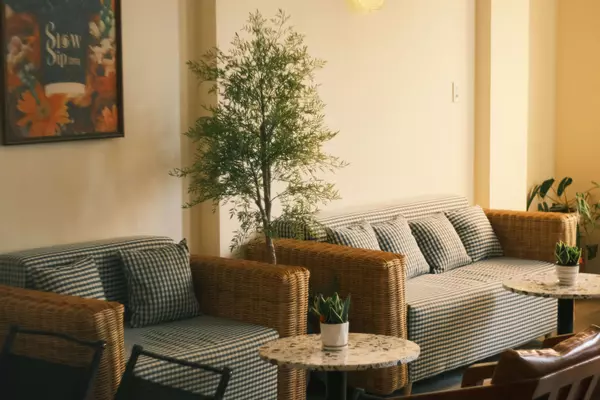 Trang trí phòng khách bằng cây xanh - Bí quyết làm đẹp không gian sống tất yếu