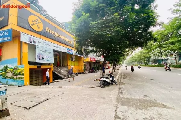 Ngõ 58 Nguyễn Khánh Toàn: Vị Trí, Giao Thông Và Bất Động Sản Xung Quanh