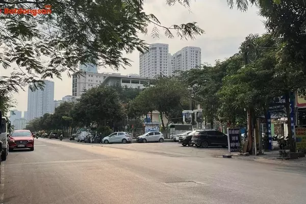 Ngõ 6 Dương Đình Nghệ: Vị Trí, Giao Thông Và Bất Động Sản Xung Quanh