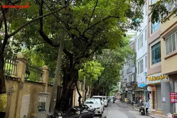 Ngõ 61 Phùng Chí Kiên: Vị Trí, Giao Thông Và Bất Động Sản Xung Quanh