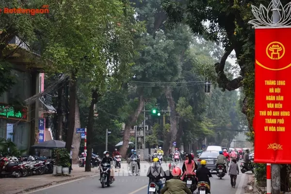Ngõ 62 phố Trần Bình: Vị Trí, Giao Thông Và Bất Động Sản Xung Quanh