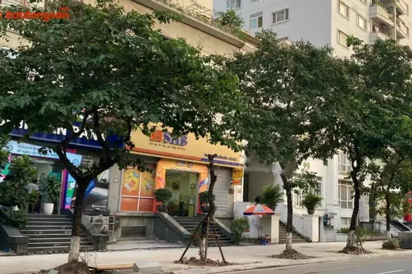 Ngõ 62 Trần Thái Tông: Vị Trí, Giao Thông Và Bất Động Sản Xung Quanh