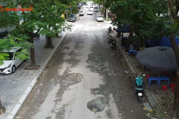 Ngõ 75 Trần Thái Tông: Vị Trí, Giao Thông Và Bất Động Sản Xung Quanh