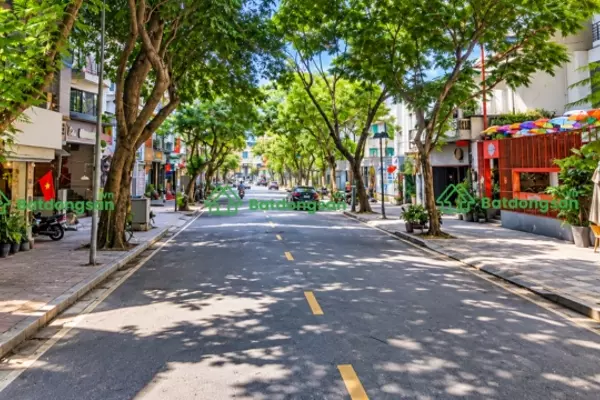 Phố Dã Tượng: Vị Trí, Giao Thông Và Bất Động Sản Xung Quanh