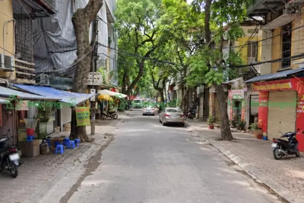 Phố Đặng Dung: Vị Trí, Giao Thông Và Bất Động Sản Xung Quanh