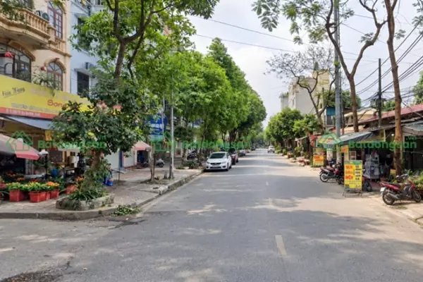 Phố Đặng Xuân Bảng: Vị Trí, Giao Thông Và Bất Động Sản Xung Quanh