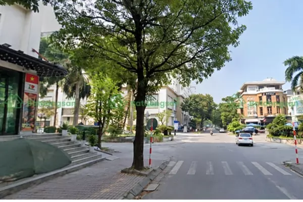 Phố Đỗ Đình Thiện: Vị Trí, Giao Thông Và Bất Động Sản Xung Quanh