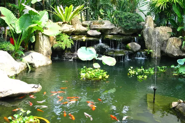 Những lưu ý phong thuỷ về ao hồ trong vườn