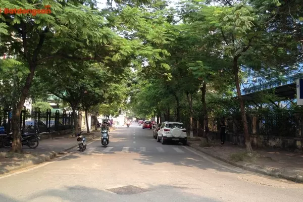 Đường Hoàng Ngân: Vị Trí, Giao Thông Và Bất Động Sản Xung Quanh