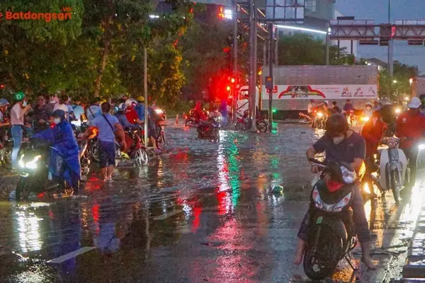 Đường Hồ Học Lãm: Vị Trí, Giao Thông Và Bất Động Sản Xung Quanh